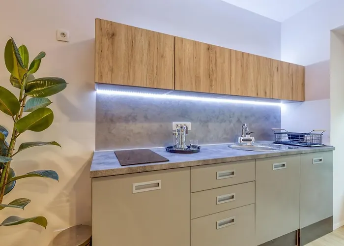 公寓 Arta Volosko *